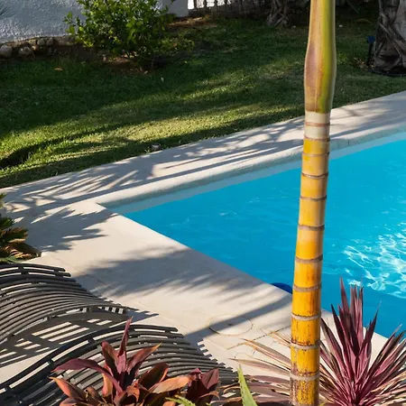 Bed & Breakfast In Eden Palm *