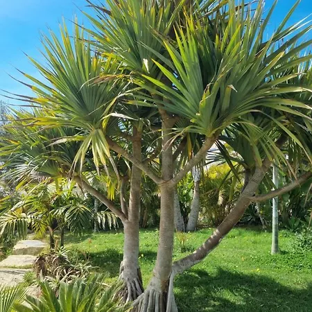 Bed & Breakfast In Eden Palm Pensión